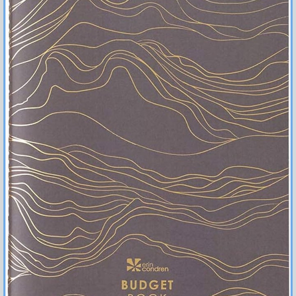 BN Erin Condren Petite Planner Budget Book Pay Bills Save Money Track Spending